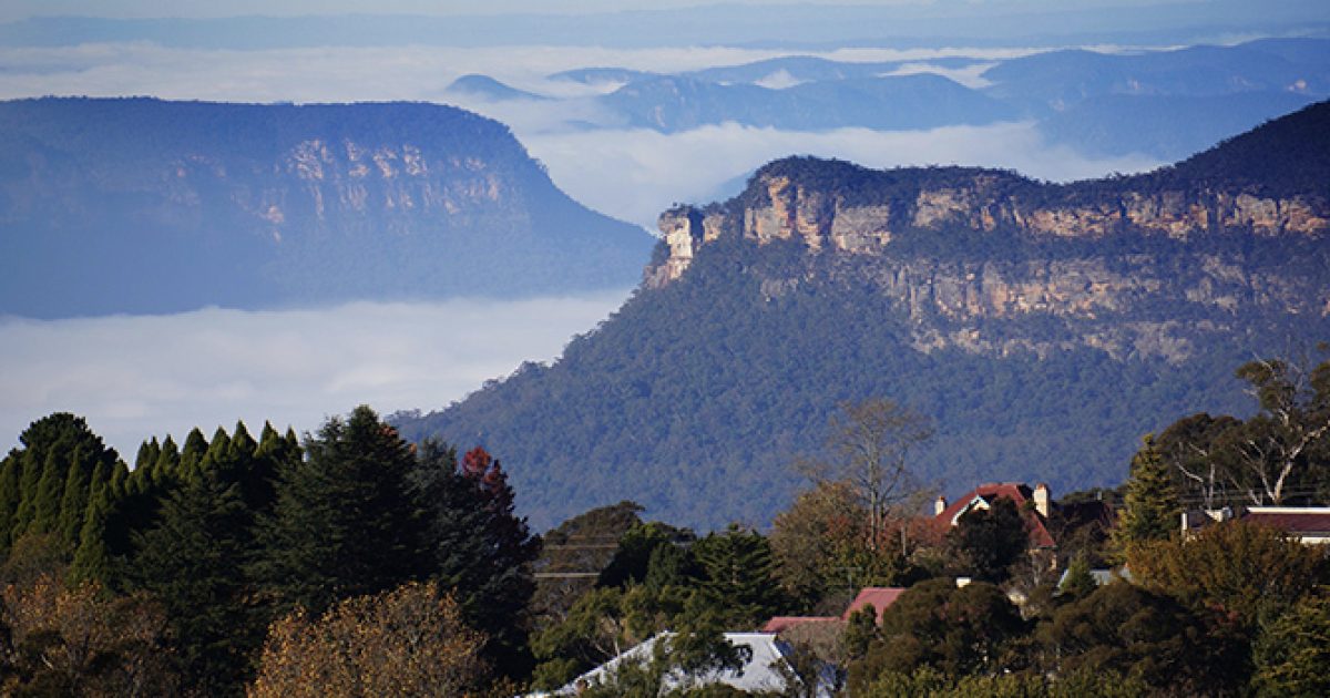 Blog Transforming the development application process at Blue